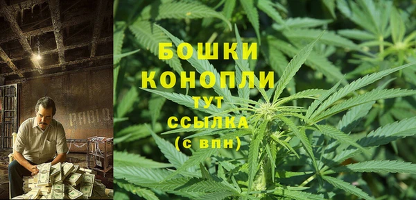 винт Абаза