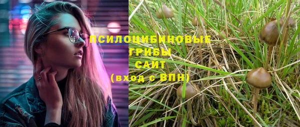 гашик Абдулино