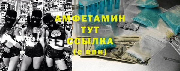 винт Абаза