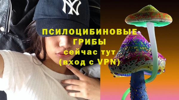 винт Абаза