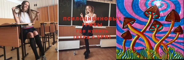 мяу мяу мука Абинск
