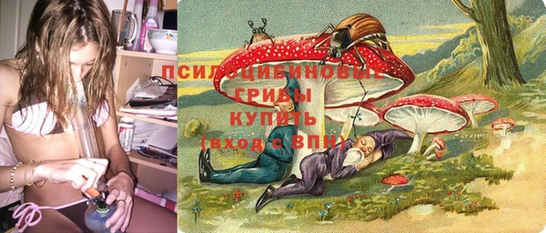 спайс Алзамай