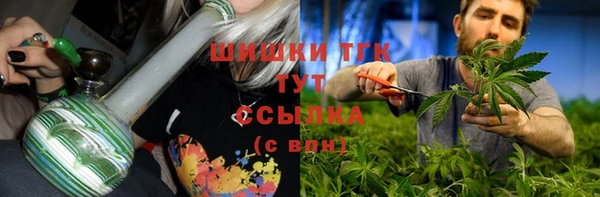 винт Абаза