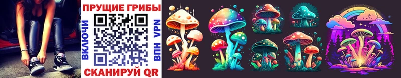 где найти   Лиски  Псилоцибиновые грибы Magic Shrooms 